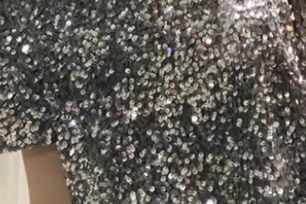 Sequin Embroidery